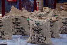 Venezuela exporta 19 toneladas de café verde a mercados de EE.UU. desde el estado Lara