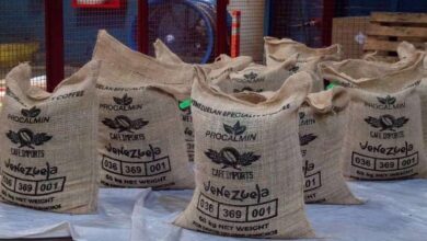 Venezuela exporta 19 toneladas de café verde a mercados de EE.UU. desde el estado Lara