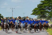 Arreo movilizó a más de seis mil mautes en Apure