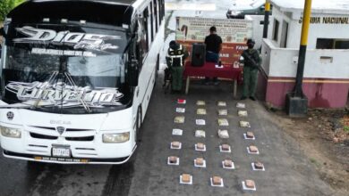Efectivos de la FANB incautan más de 20 kilos de presunta marihuana en Guárico