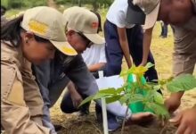 Siembran 300 árboles en el Parque Itagua, Caracas, por 51 años de Conare