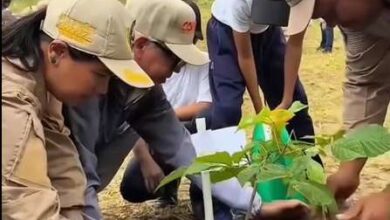Siembran 300 árboles en el Parque Itagua, Caracas, por 51 años de Conare
