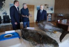 Japón convoca al embajador ruso tras visita de Putin a las Kuriles