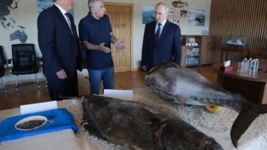 Japón convoca al embajador ruso tras visita de Putin a las Kuriles