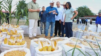 Jefa de Estado venezolana destaca el crecimiento histórico de la producción de arroz y maíz