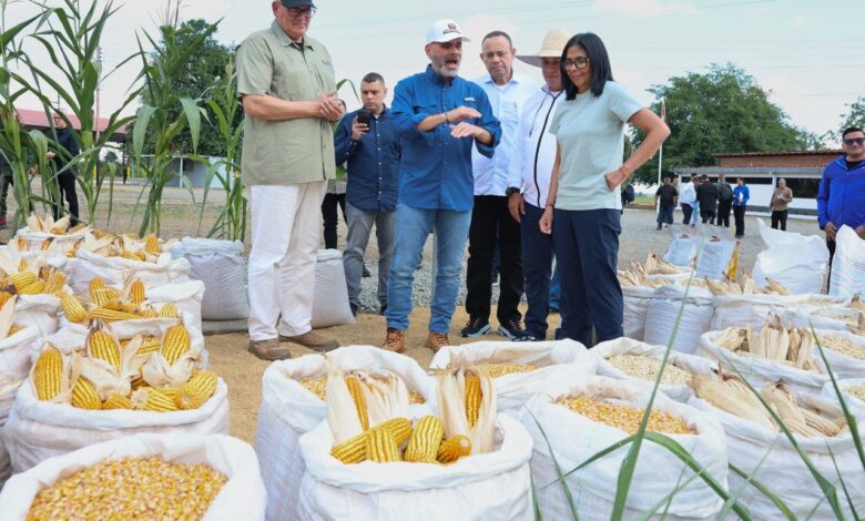 Jefa de Estado venezolana destaca el crecimiento histórico de la producción de arroz y maíz