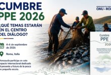 Venezuela participa en diálogo multilateral sobre futuro de la pesca en pequeña escala