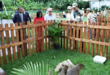 Gobierno venezolano promulga Ley Aprobatoria para Establecimiento de la Alianza Internacional de Grandes Felinos