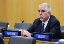 Venezuela pide mayor participación de África en el Consejo de Seguridad