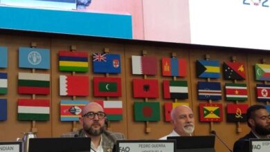 Venezuela expone en la Cumbre PPE 2026 política pesquera basada en los Conppa