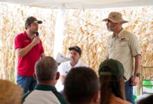 Gobierno regulariza 62.788 hectáreas con la entrega de 1.361 títulos agrarios en Venezuela