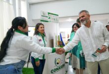 FAO e INIA destacan importancia de la semilla para la alimentación  