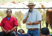 Regularizan más de 152 mil hectáreas en los Llanos venezolanos