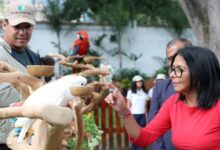 Presidenta Delcy Rodríguez destaca importancia de proteger la fauna autóctona en Venezuela
