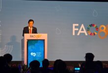 FAO destaca papel de los jóvenes en transformación agroalimentaria